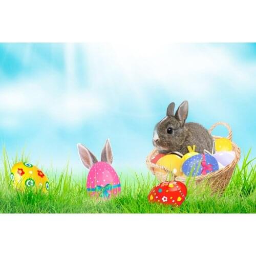 Rabbit Lawn Eggs Easter Decor For Photo Studio Backgrounds Baby Shower Backdrop E190127A53