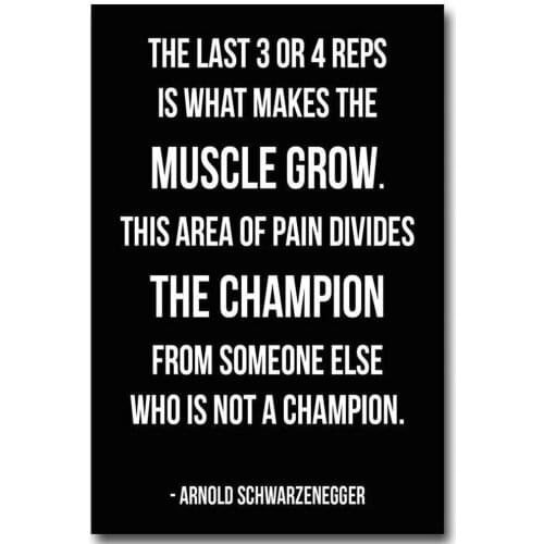 073 ARNOLD SCHWARZENEGGER - Motivational Quote Wall Silk Cloth Poster Art Decoration Gift