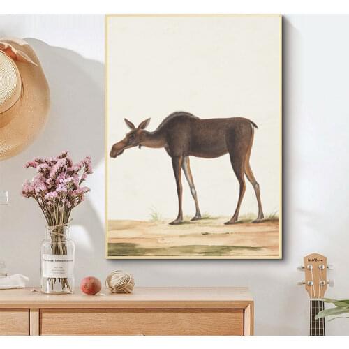 HD Vintage Animal Posters and Prints Retro Eagle Canvas Painting Wall Art Wall Pictures for Living Room Study Decor Cuadors