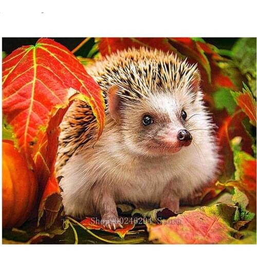 5D DIY Diamond Painting Hedgehog Diamond Mosaic Cross stitch Square round Rhinestone Home Decor Picture FF135