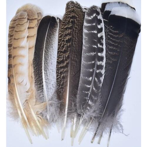 10Pcs/Lot Real Natural Eagle Feathers for Decoration Turkey Pheasant Crafts Carnival Accessories Needlework Feather Decor Plumes