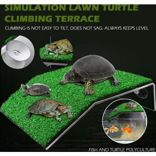 Climbing staircase, turtle, resting platform, floor drying, lawn simulation, reptile decoration, fish tank, blower