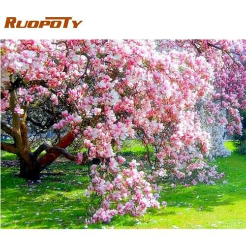 RUOPOTY Pink Flower Spring Scenery Picture By Numbers Kit For Adults Children Modern Home Wall Decoration Picture 60x75cm Frame