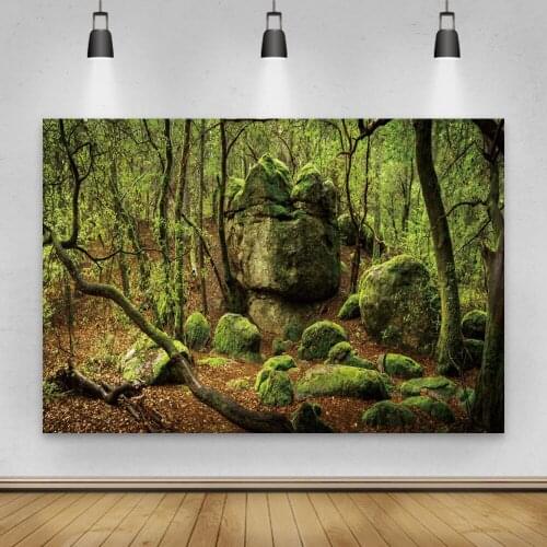 Green Backdrops For Photography Spring Moss Stone Forest Tree Shrub Tropical Scenic Photographic Background Photophone Photocall