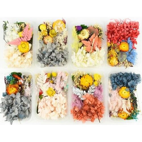1Box Immortal Random Real Dried Flower For Aromatherapy Candle ,Epoxy Resin Pendant ,DIY Nail Jewelry Making Craft Decoration