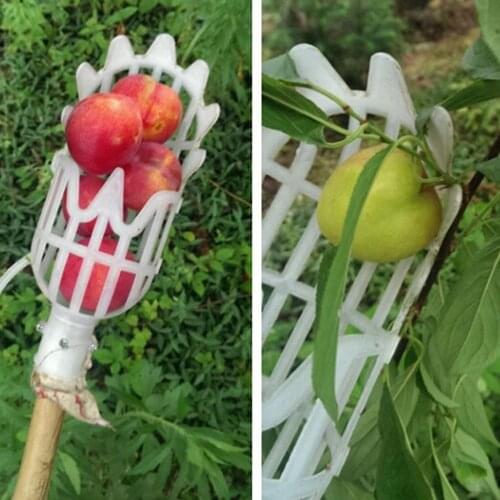 High-altitude Fruit Picker For Bayberry, Harvester For Berries Picking Machine No Need Ladder Wheat Field Fruits Picking Tools