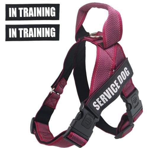 Lightweight Service Dog Vest/Harness with Handle and 2 Free Removable SERVICE DOG & 2 IN TRAINING Patches, Reflective