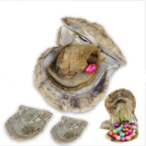 Saltwater Akoya Oyster Single 6-7mm Rice Pearl, Mixed Colors Party Gift Oval Pearl Oyster 20pcs/lot FP400