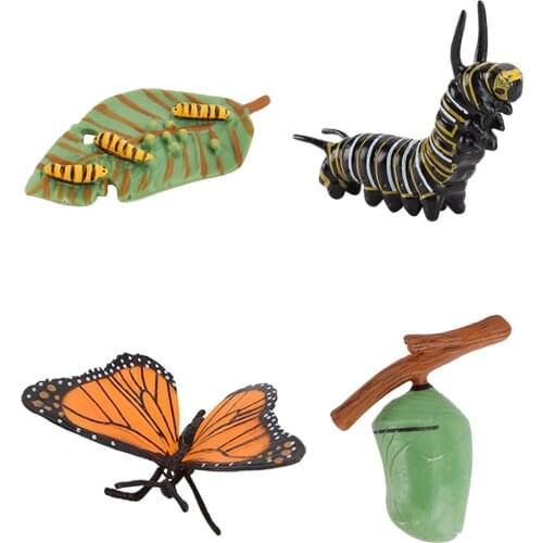 Animal Growth Cycle Model Kids Cognitive Educational Toys Simulation Animal Insect Model Mini Animal Growth Cycle Ornaments