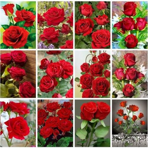 Diamond Painting New Flower Pictures of Rhinestones 5D DIY Diamond Embroidery Cross Stitch Rose Mosaic Diamond Art Painting