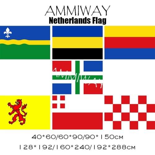 AMMIWAY Any Size Netherlands Provinces Flag Flevoland Gelderland North Holland Groningen Zuid Holland Utrecht North Brabant Flag