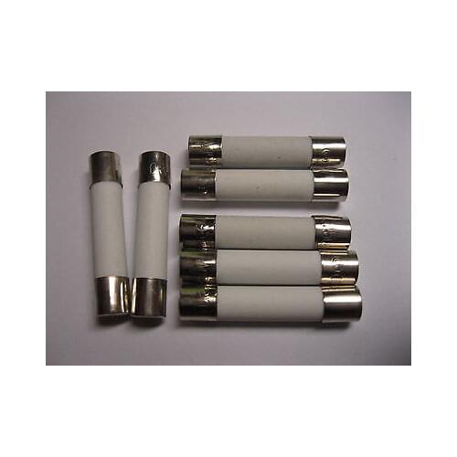 100 Pcs Fast Blow Ceramic Fuses 2 A 250V 6mm x 30mm