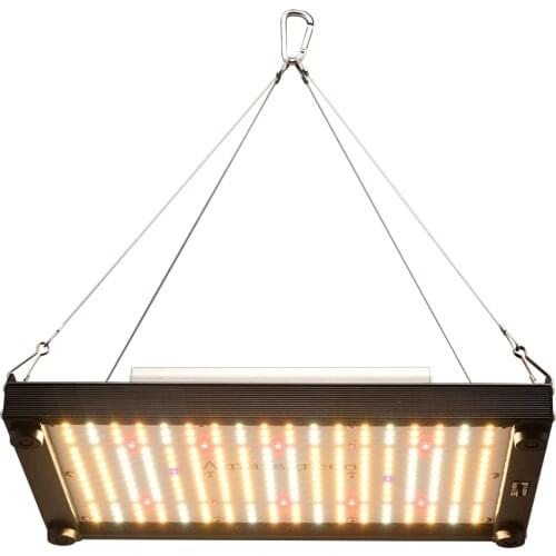 Full Spectrumm 120W 240W Quantum Led Grow Lights Board LM301H 3000K 5000K Red 660nm IR UV Hydroponic Grow Lamp Meanwell Driver