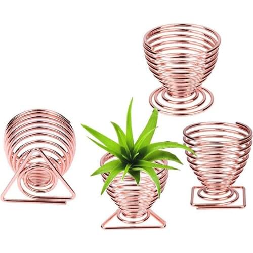 Air Plant Overhead Planting Stand Flower Pot Plant Display Rack, Live Tropical Plants, 4 Pieces, Rose Gold