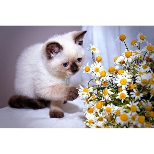 Cats DIY diamond painting cats dimaond embroidery full drill cat diamond painting mosaic full round drill