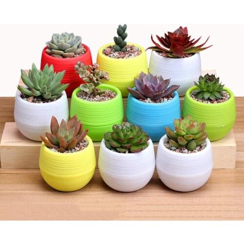 Mini Flower Pots Round Plastic Succulents Plant Pot Garden Nursery Pots Eco-friendly Colourful Flowerpot Home Office Decor