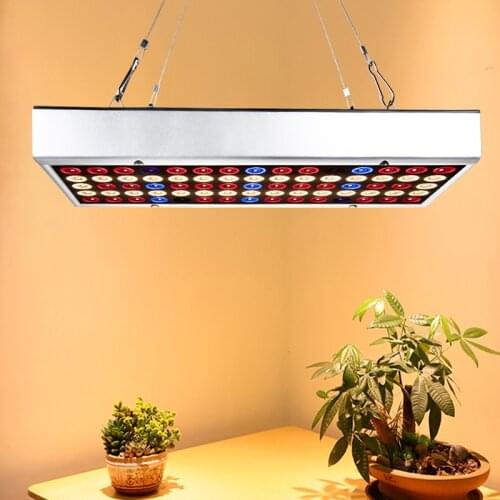 300W LED Grow Light Full Spectrum for Indoor Hydroponic Plant Flower seedlight LED Grow Light plant lamp fitolamp