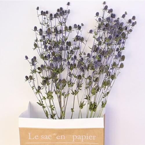 Dried Flower Small Eryngo Home Decor Living Indie Room Decoration Atificial Flowers Dried Plants Wedding Party Christmas