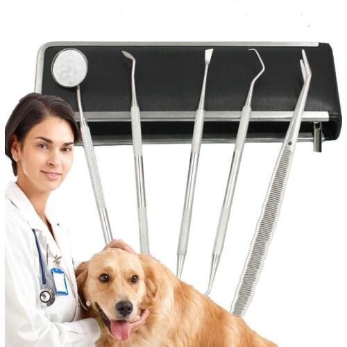 Dental Hygiene Tool Kit Dentist Tartar Scraper Scaler Dental Equipment Calculus Plaque Remover Teeth Cleaning Oral Care Tool