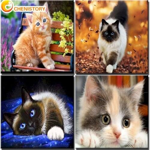 CHENISTORY Animals Oil Painting On Canvas Frame Cat Picture By Number Color Drawing Diy Craft Kits For Adults Home Decortive Art