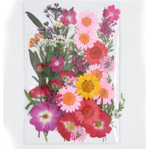Design-8 40pcs Mixed Pressed Dried Flower Leaves Filler For Epoxy Resin Jewelry Making Postcard Frame Phone Case Craft DIY