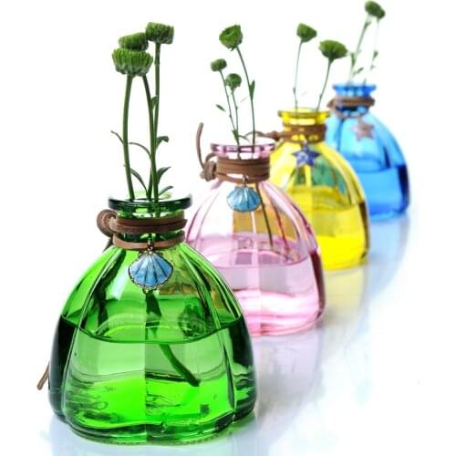 Colorful Glass Vase Hydroponic Glass Vases For Dried Flower Home Decor