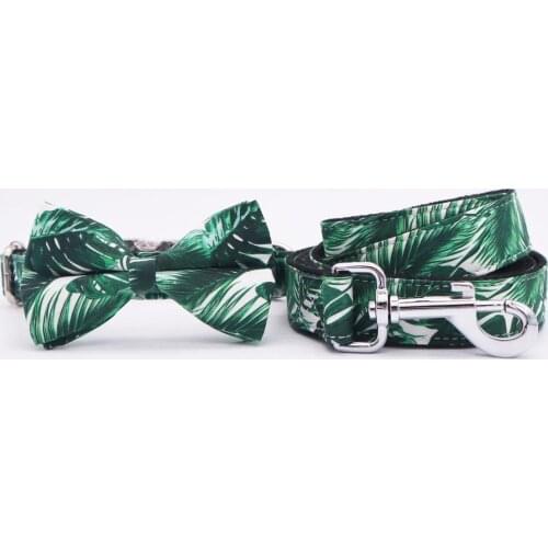 Free Sunday Products For Cats