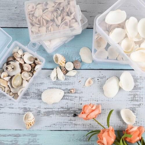 28g/Box Natural Sea Shells Conch Epoxy Resin Molds Fillings Seashells For DIY Crafts Home Decor Marine Style Jewelry Making