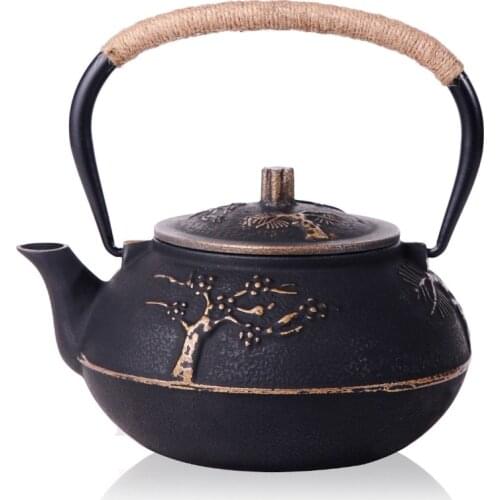 Japanese Cast Iron Teapot Tetsubin Tea Pot Set Kettle Drinkware 900ml Tools Kung Fu Infusers Stainless Steel Strainer Authentic