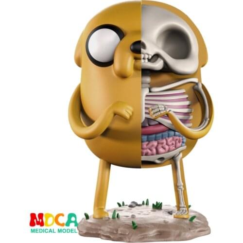 Jake 4D XXRAY master Mighty Jaxx Jason Freeny anatomy Cartoon ornament