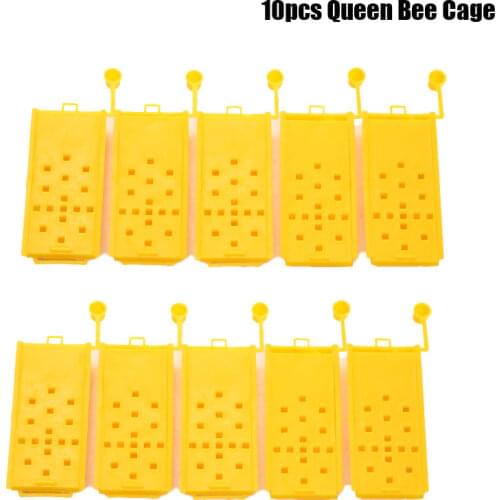 10pcs Portable Beekeeping Bee Queen Rearing Cage Transport Cages Plastic Tool