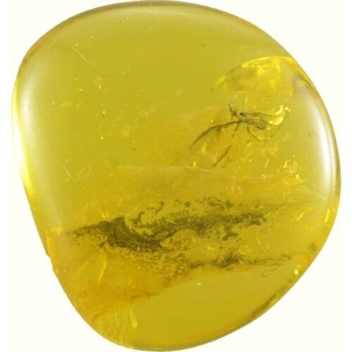 8.31ct Baltic Amber with insect cabochon 21x18mm