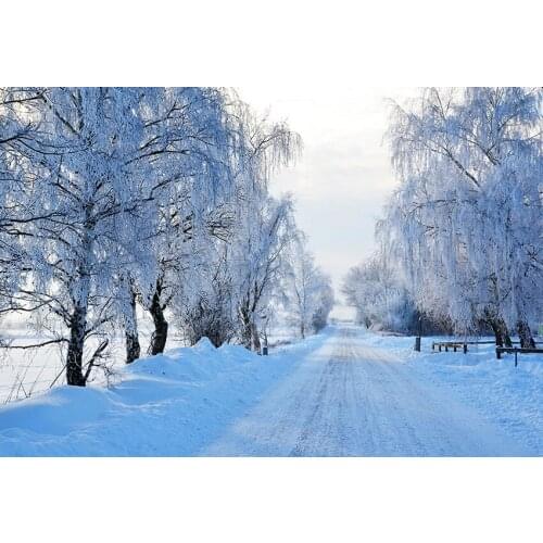 Snow covered road photo backgrounds vinyl fotografia Christmas photography backdrop for photo studio props photophone lv-1172