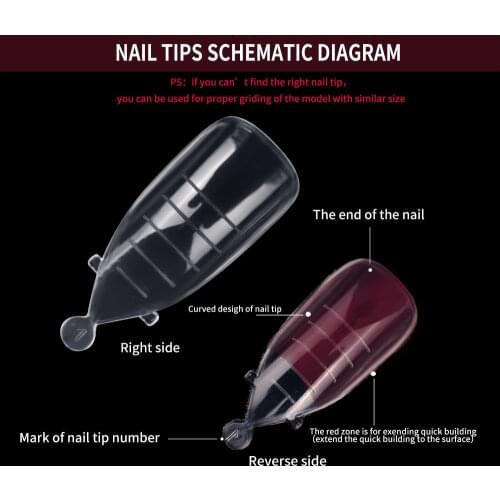 Fingerqueen Quickly Build Extended Nail Extension Mold Large Nail Press Type Transparent Nail Tool UV Gel Extension Mold 120pcs