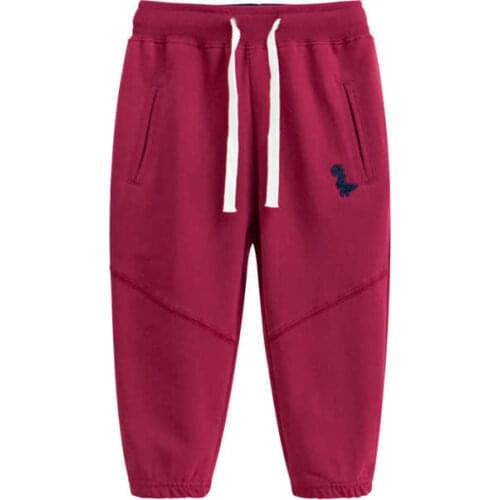 Boys' sports trousers, childrens dinosaurs, baby, trendy, all-match popular, 2020 childrens clothing autumn new products