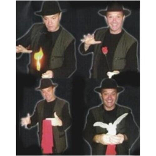 Torch To Rose To Silk (With DVD) Touch-Flower Silk - Stage Magic Trick Rose Vanishing Magic Gimmick Props Comedy Accessories