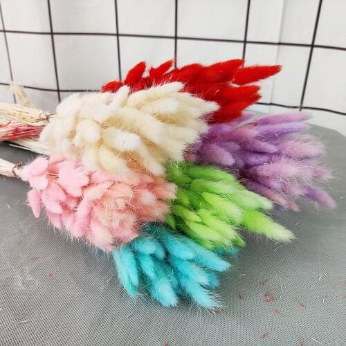 60Head Natural Dried Flower Bouquet Rabbit Tail Grass Artificial Plants Dog Tail Grass Wedding Home Decoration Real Flower