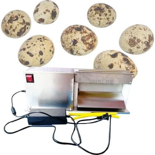 Automatic electric quail egg peeler quail egg peeling machine