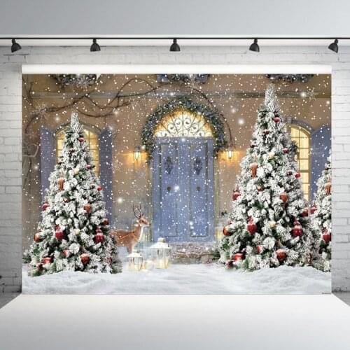Mehofond Winter Snowflake Christmas Backdrop Newborn Baby Wooden Door Decoration Photographic Background Photo Backdrop Prop