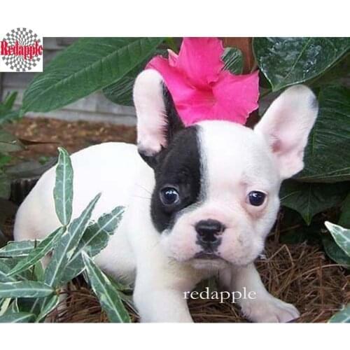 2018 Full,Diamond Embroidery,5D,Diamond Painting,French Bulldog dog Cross Stitch,Diamond Mosaic,Needlework,Rhinestone painting