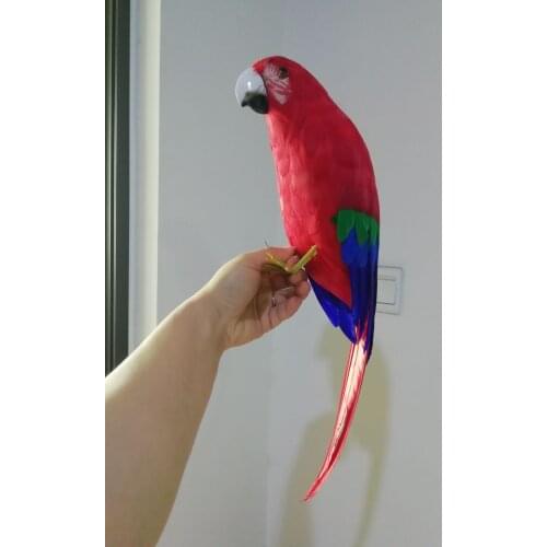Lovely real life red parrot model foam&feather simulation parrot bird gift about 42cm xf3011