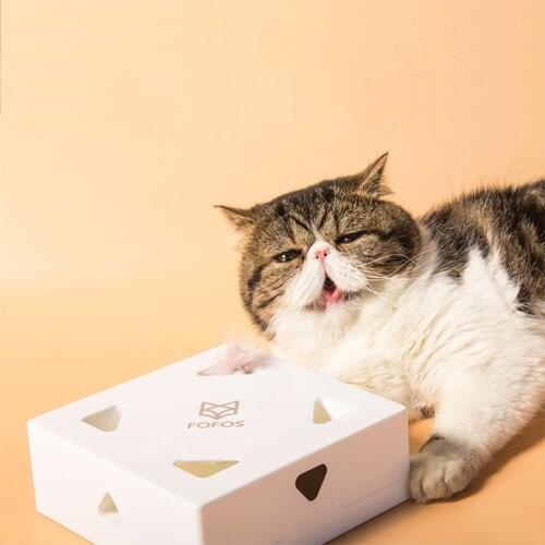 Smart Automatic Feather Funny Cat Magic Box Type-c Charging Kitten AI Partner Interactive Training Hunting Electric Pet Cats Toy