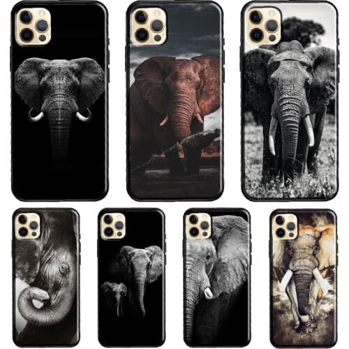 Wild Elephant Head Funda Case For iPhone X XR XS MAX 12 Mini 11 Pro Max 5S 6S 8 7 Plus SE 2020 Cover Shell