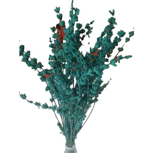 Dried Real Fragrant Lavender Romantic Decoration Hobby Material Fashion Quick-frozen Quality Home Decor Party Celebration Green Pink