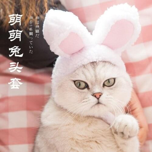 New Pet Cat Rabbit Headgear Dog Teddy Bear Transformed Hat Cute Garfield Rabbit Ear Headdress