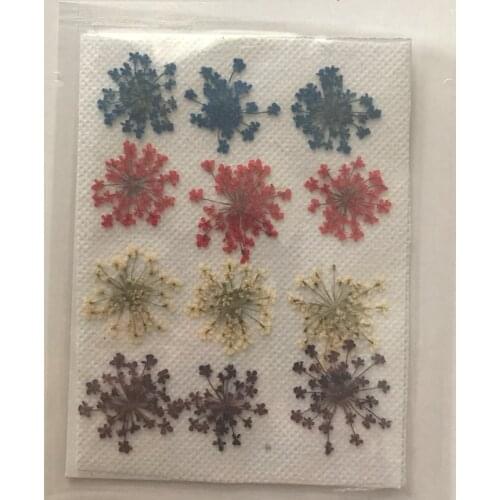 Real flowers dried pressed flowers Mixed 4 Different Color Free Shipment 36 Pcs