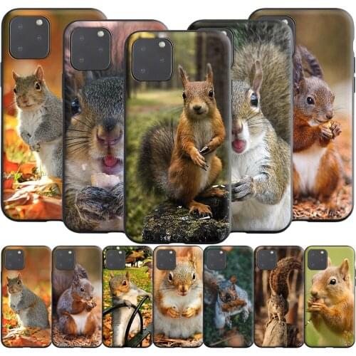 Squirrel Silicone Case for Realme Narzo 30A GT NEO C3 C25 C21 C20 C17 C15 C12 C11 8 7 7i 6 6i Pro