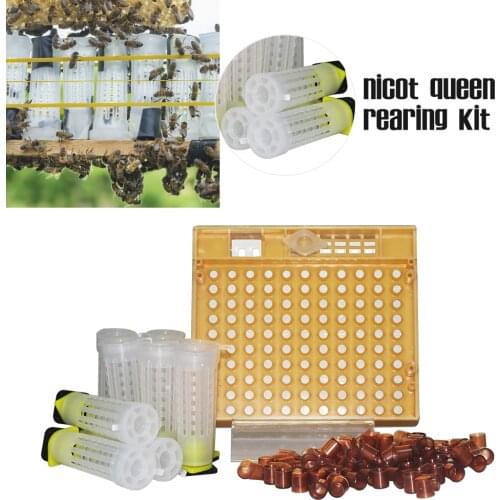 Nicot Bee Queen Rearing Kit Goods Tools For Beekeeper Supplies