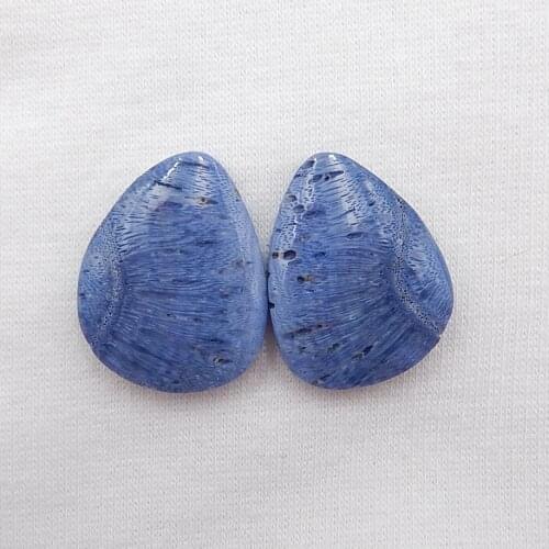 Wholesale gemstone,Birthday gift,Natural Blue Coral cabochons,Fashion cabochons Jewelry,25x20x5mm，6.8g