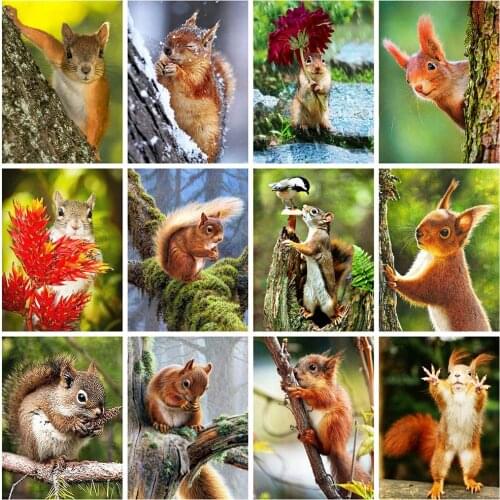 Full Square/Round Drill 5D DIY Diamond Painting Squirrel Animals Diamond Embroidery Cross Stitch Kit Home Decoration Art